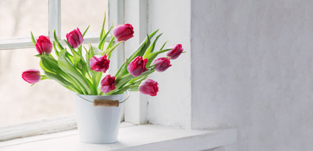 red tulips on old white windowsillの写真素材
