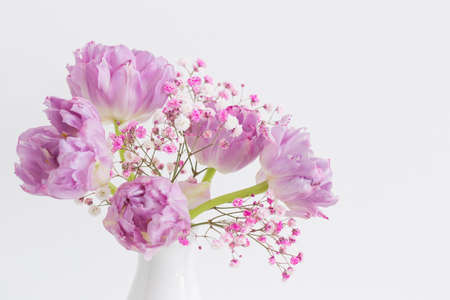pink tulips and gypsophila on white backgroundの写真素材