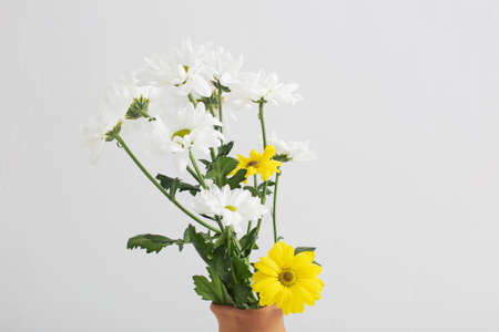 chrysanthemums flowers in ceramic vase on white backgroundの写真素材