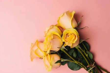 bouquet of yellow roses on pink background top viewの素材
