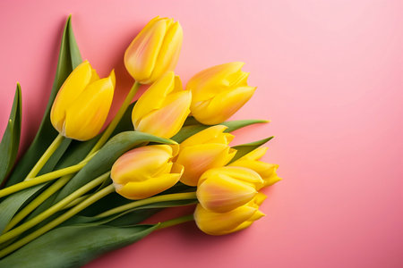 bouquet of yellow tulips on pink background top viewの素材