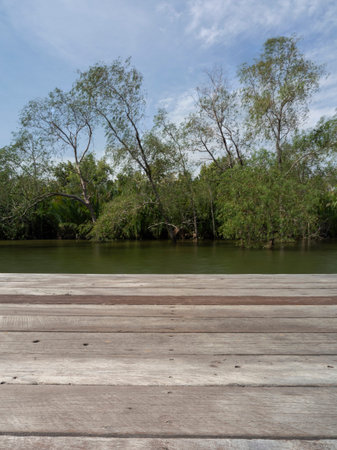 Wooden floor and trees on the river bank in summer season.