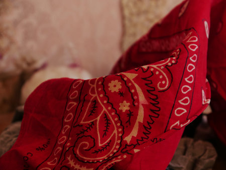 Close-up of a red handkerchief on a sofa.