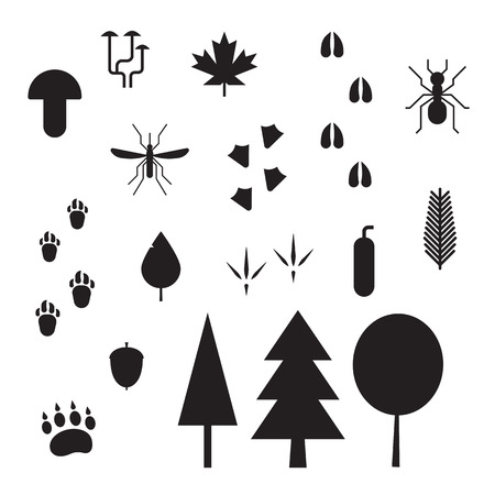 Forest life elements. Animal and bird tracks, plants, insects, mushrooms and trees outline vector icons. Forest creatures, plants and footprints silhoettes isolated on white backgroundのイラスト素材
