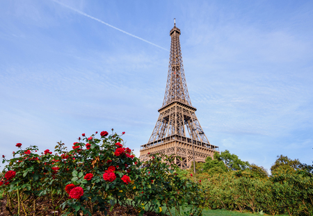 Famous french monument Eiffel Tower by golden hour with red blossoming roses, France. Romantic Paris postcard.の写真素材