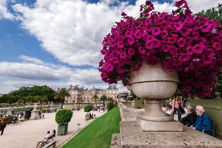 Paris, France - August 13, 2017. View of Luxembourg gardens and Luxembourg Palace, now is home to French Senate. Popular parisian landmark and famous public park with historic building and flower pot.のeditorial素材