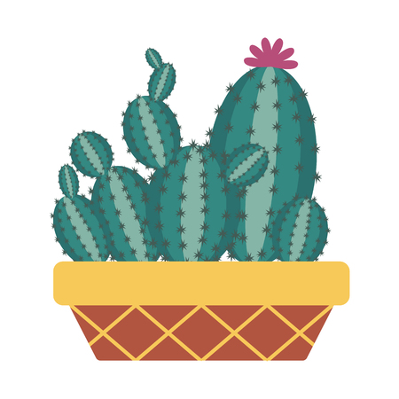 Cartoon cactus in pot. Houseplant succulent icon in flat design.の写真素材