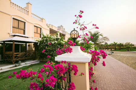 September 16, 2017 - Al Hamra Village in Ras al Khaimah, United Arab Emirates. Lamp and pink flowers on fence of arabian apartment complex modern residence area in Persian gulf by sunrise.のeditorial素材