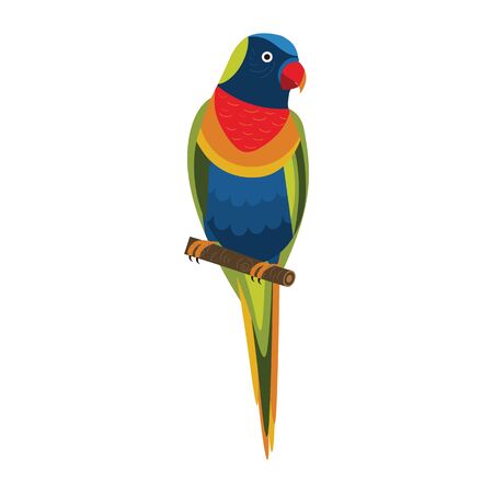 Rainbow Lorikeet Exotic Parrot in Flat Designのイラスト素材