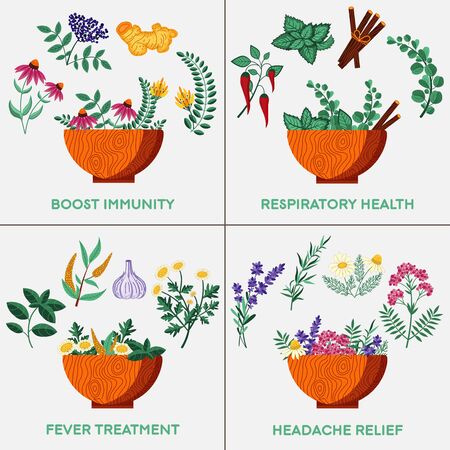 Wooden bowls with medical herbs, flowers and spices. Homeopathic plants and natural remedies to boost immunity and respiratory health. Organic flu treatments, recipes for fever and headache treatment.のイラスト素材