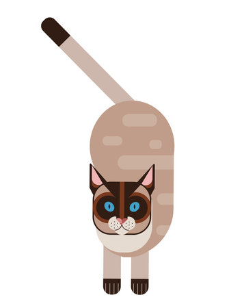 Posing Siamese Cat Geometric Illustration in Flatのイラスト素材
