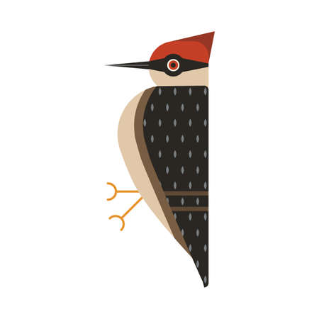 Red Head Woodpecker Bird Geometric Flat Iconのイラスト素材