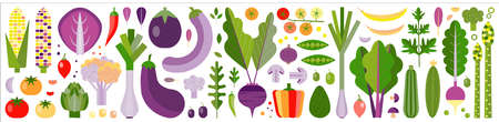 Fresh Farm Organic Vegetables Bannerのイラスト素材