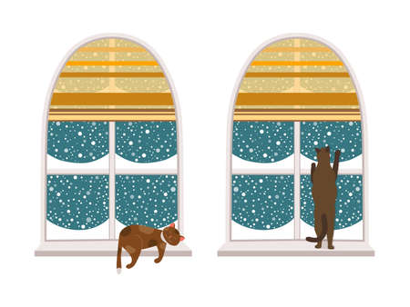 Winter Cats Looking at Window on Snowfallのイラスト素材
