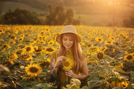 Woman Plucking Flower Petals in Sunflower Fieldの写真素材