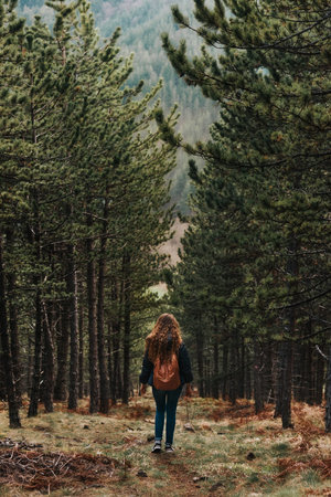 Woman Backpacker Walking in Coniferous Forest