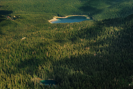 Aerial View of Black Lake and Snake Lake