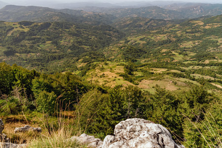 Summer Mountain Landscape in Western Serbia Highlandsの写真素材
