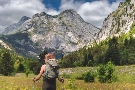 Female Walking in Flowering Alpine Mountain Valleyの写真素材