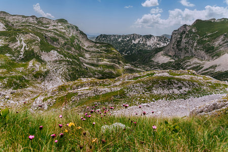 Summer Alpine Mountain Landscape in Dinaric Alpsの写真素材