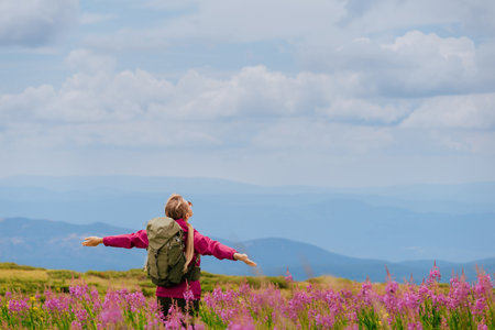 Woman Traveler in Meadow of Willowherb Flowersの写真素材