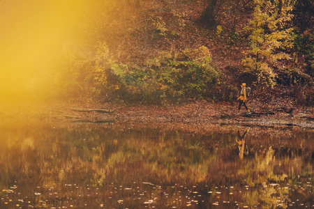 Woman Hiking Alone Autumn Forest lakeの写真素材