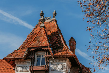Ornate Roof and Facade of Historic Buildingの写真素材