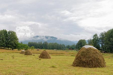 Mountain Altai. Skew hay collected in haystacks in a meadowの写真素材