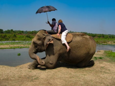 Elephant riding