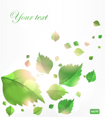 summer nature backgroundのイラスト素材