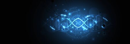 Science template, wallpaper or banner with a DNA molecules.のイラスト素材