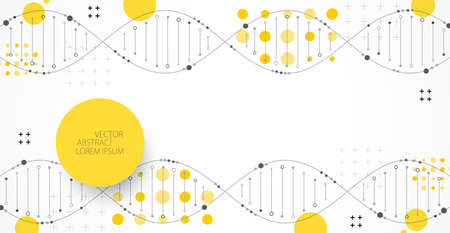Science template, wallpaper or banner with a DNA molecules. Vector illustrationのイラスト素材
