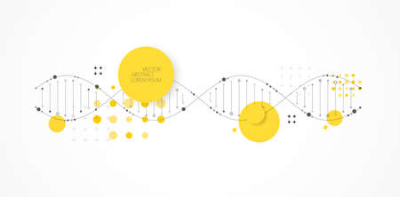 Science template, wallpaper or banner with a DNA molecules. Vector illustrationのイラスト素材