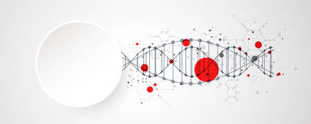 Abstract futuristic background for design works.
Science template, wallpaper or banner with a DNA molecules.のイラスト素材