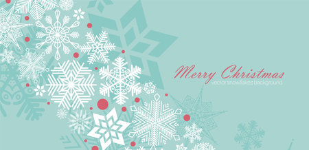 Festive Christmas background design. Different types of  retro snowflakes. Vectorのイラスト素材