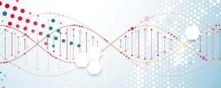 Science template, wallpaper or banner with a DNA molecules. Handmade vector illustration.のイラスト素材