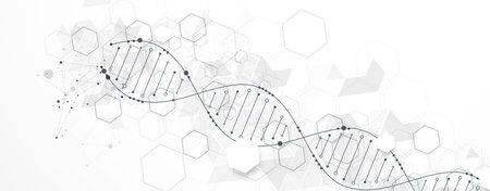 Abstract hexagon futuristic background for design works.Science template, wallpaper or banner with a DNA molecules.のイラスト素材