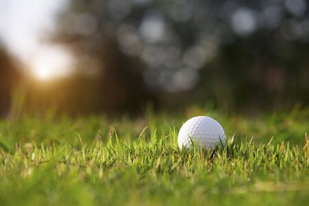Golf ball is on a green lawn in a beautiful golf course with morning sunshine.Ready for golf in the first short.Sports that people around the world play during the holidays for health.の写真素材