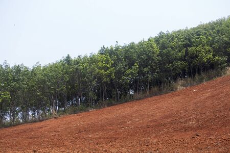 The high hills that have been plowed for farming and the forest remains from the invasion