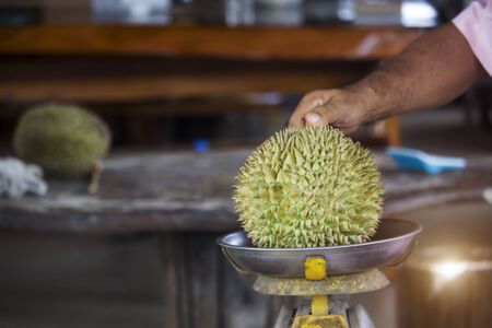 Durian is placed on the scales to determine the price at the market.Tropical fruits that people around the world like to eat.の写真素材