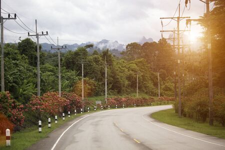 Beautiful road surrounded by green nature on both sides of the road with soft sunlight in the morning.の写真素材