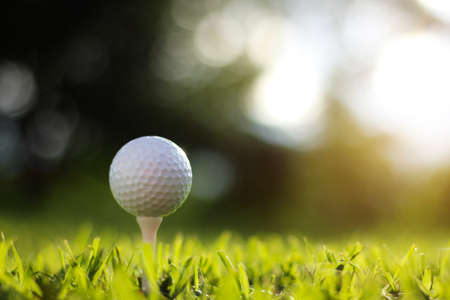 golf ball on tee in a beautiful golf course with morning sunshine.Ready for golf in the first short.Sports that people around the world play during the holidays for health.の写真素材