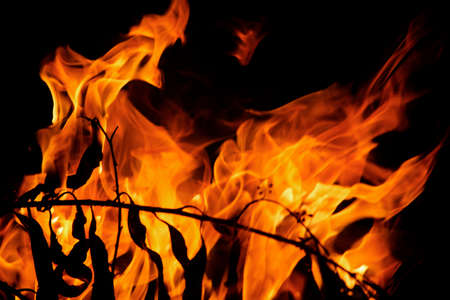 Close up burning flames on black background for graphic design or wallpaper. Red and yellow, heat...