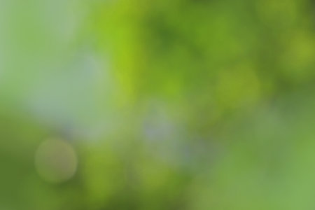 Bokeh green nature, Subtle background in abstract style for graphic design or wallpapersの写真素材