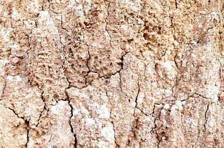 The ground has cracks in the top view for the background or graphic design with the concept of...