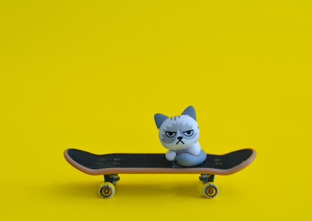 Cat abstract minimal yellow background, Animal conceptの写真素材