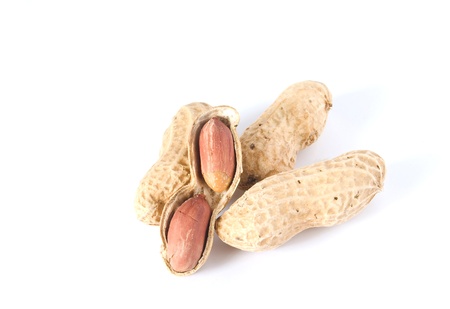 peanuts on the white background