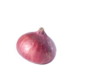 single fresh shallot on white background  の写真素材