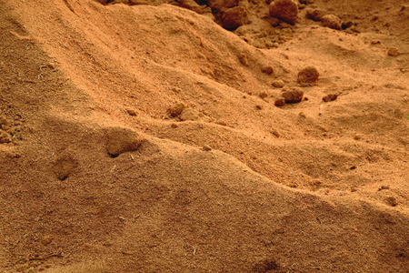 Wooden sawdust stack. Closeup for background.の写真素材