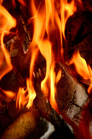 The firewood is burning in fireplace.の写真素材